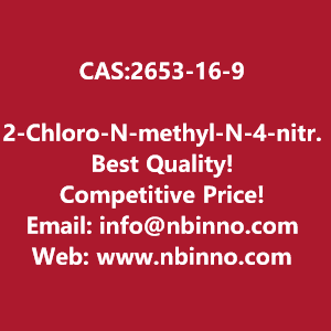 2-chloro-n-methyl-n-4-nitrophenylacetamide-manufacturer-cas2653-16-9-big-0