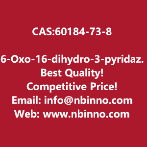 6-oxo-16-dihydro-3-pyridazinecarboxamide-manufacturer-cas60184-73-8-big-0