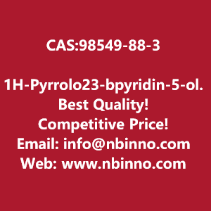 1h-pyrrolo23-bpyridin-5-ol-manufacturer-cas98549-88-3-big-0