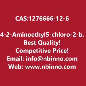 4-2-aminoethyl5-chloro-2-benzoxazolylamino-2-butanone-methanesulfonate-manufacturer-cas1276666-12-6-big-0