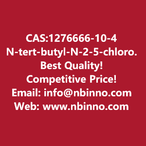 n-tert-butyl-n-2-5-chloro-13-benzoxazol-2-yl-3-oxobutylaminoethylcarbamate-manufacturer-cas1276666-10-4-big-0