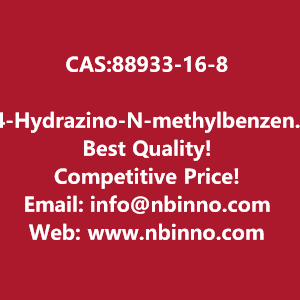 4-hydrazino-n-methylbenzenemethanesulfonamide-manufacturer-cas88933-16-8-big-0