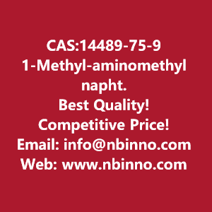 1-methyl-aminomethyl-naphthalene-manufacturer-cas14489-75-9-big-0