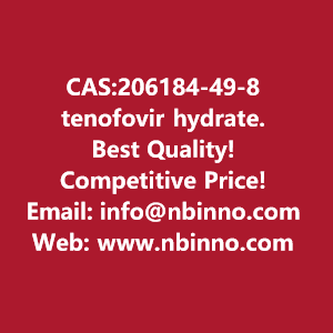 tenofovir-hydrate-manufacturer-cas206184-49-8-big-0