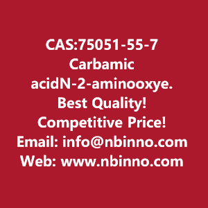 carbamic-acidn-2-aminooxyethyl-11-dimethylethyl-ester-manufacturer-cas75051-55-7-big-0
