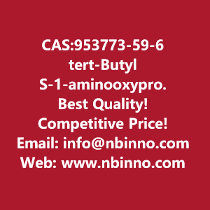 tert-butyl-s-1-aminooxypropan-2-ylcarbamate-manufacturer-cas953773-59-6-big-0