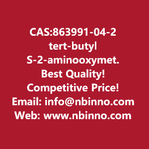 tert-butyl-s-2-aminooxymethylpyrrolidine-1-carboxylate-manufacturer-cas863991-04-2-big-0