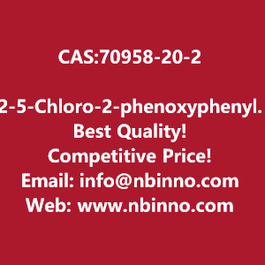 2-5-chloro-2-phenoxyphenylacetic-acid-manufacturer-cas70958-20-2-big-0