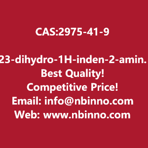 23-dihydro-1h-inden-2-amine-manufacturer-cas2975-41-9-big-0