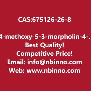 4-methoxy-5-3-morpholin-4-ylpropoxy-2-nitrobenzonitrile-manufacturer-cas675126-26-8-big-0