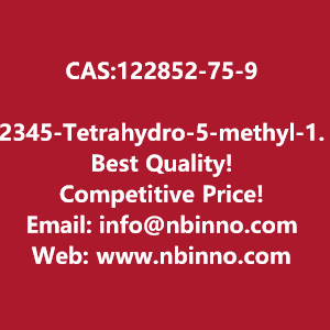 2345-tetrahydro-5-methyl-1h-pyrido43-bindol-1-one-manufacturer-cas122852-75-9-big-0