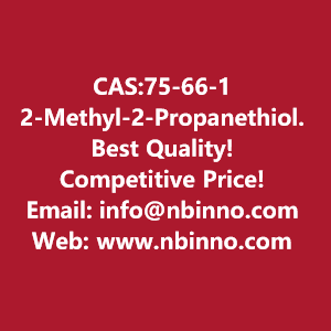 2-methyl-2-propanethiol-manufacturer-cas75-66-1-big-0