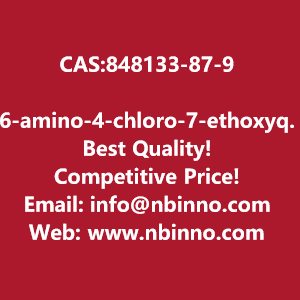 6-amino-4-chloro-7-ethoxyquinoline-3-carbonitrile-manufacturer-cas848133-87-9-big-0