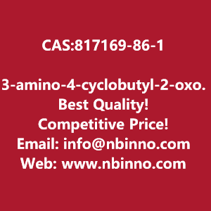 3-amino-4-cyclobutyl-2-oxobutanamidehydrochloride-manufacturer-cas817169-86-1-big-0