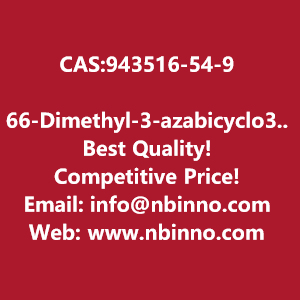 66-dimethyl-3-azabicyclo310hexane-manufacturer-cas943516-54-9-big-0