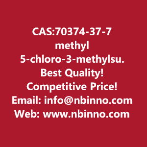 methyl-5-chloro-3-methylsulfamoylthiophene-2-carboxylate-manufacturer-cas70374-37-7-big-0