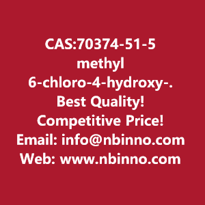 methyl-6-chloro-4-hydroxy-11-dioxo-2h-thieno23-ethiazine-3-carboxylate-manufacturer-cas70374-51-5-big-0
