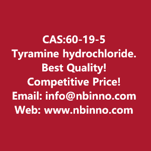 tyramine-hydrochloride-manufacturer-cas60-19-5-big-0