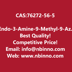 endo-3-amine-9-methyl-9-azabicyclo331nonane-manufacturer-cas76272-56-5-big-0