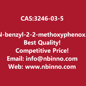 n-benzyl-2-2-methoxyphenoxyethanamine-manufacturer-cas3246-03-5-big-0