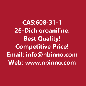 26-dichloroaniline-manufacturer-cas608-31-1-big-0