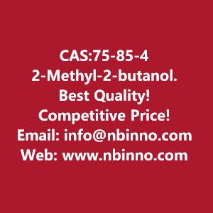 2-methyl-2-butanol-manufacturer-cas75-85-4-big-0