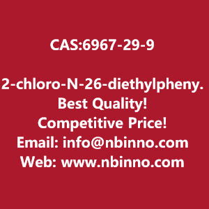 2-chloro-n-26-diethylphenylacetamide-manufacturer-cas6967-29-9-big-0