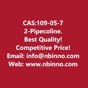 2-pipecoline-manufacturer-cas109-05-7-big-0