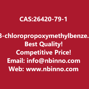 3-chloropropoxymethylbenzene-manufacturer-cas26420-79-1-big-0