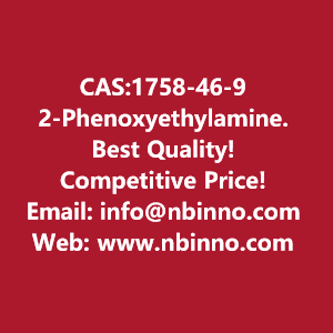 2-phenoxyethylamine-manufacturer-cas1758-46-9-big-0