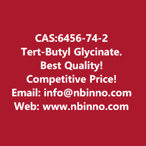 tert-butyl-glycinate-manufacturer-cas6456-74-2-big-0