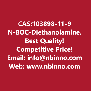 n-boc-diethanolamine-manufacturer-cas103898-11-9-big-0