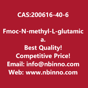 fmoc-n-methyl-l-glutamic-acid-5-tert-butyl-ester-manufacturer-cas200616-40-6-big-0