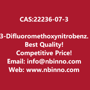 3-difluoromethoxynitrobenzene-manufacturer-cas22236-07-3-big-0