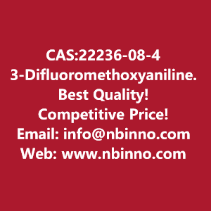 3-difluoromethoxyaniline-manufacturer-cas22236-08-4-big-0