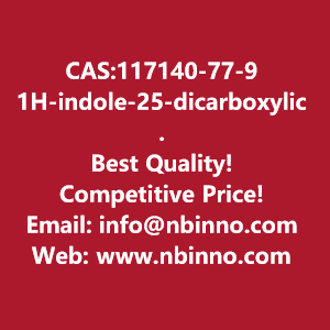 1h-indole-25-dicarboxylic-acid-manufacturer-cas117140-77-9-big-0