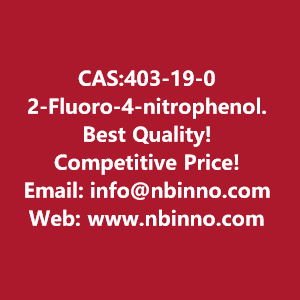 2-fluoro-4-nitrophenol-manufacturer-cas403-19-0-big-0