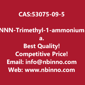 nnn-trimethyl-1-ammonium-adamantane-manufacturer-cas53075-09-5-big-0