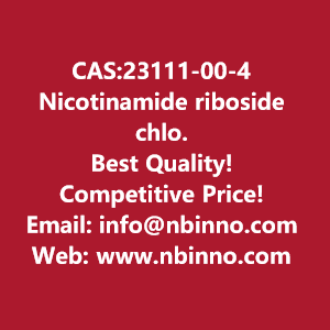 nicotinamide-riboside-chloride-manufacturer-cas23111-00-4-big-0
