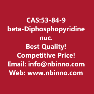 beta-diphosphopyridine-nucleotide-manufacturer-cas53-84-9-big-0