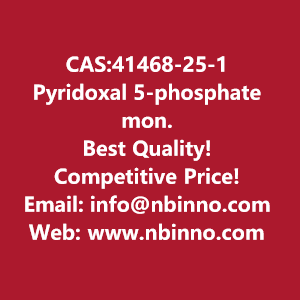 pyridoxal-5-phosphate-monohydrate-manufacturer-cas41468-25-1-big-0