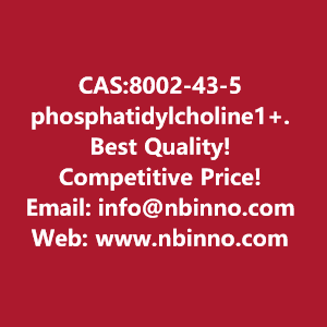 phosphatidylcholine1-manufacturer-cas8002-43-5-big-0