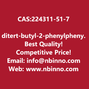 ditert-butyl-2-phenylphenylphosphane-manufacturer-cas224311-51-7-big-0