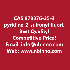 pyridine-2-sulfonyl-fluoride-manufacturer-cas878376-35-3-big-0