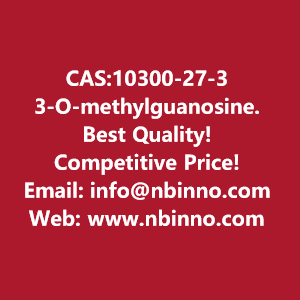 3-o-methylguanosine-manufacturer-cas10300-27-3-big-0