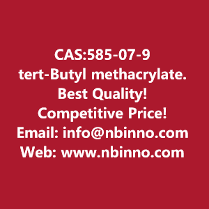 tert-butyl-methacrylate-manufacturer-cas585-07-9-big-0