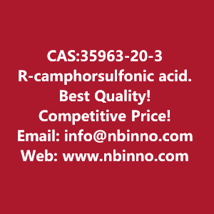 r-camphorsulfonic-acid-manufacturer-cas35963-20-3-big-0