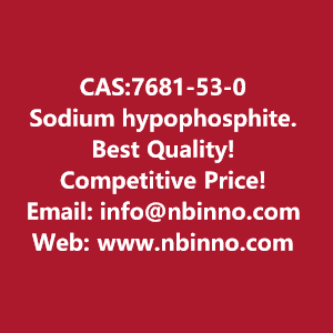 sodium-hypophosphite-manufacturer-cas7681-53-0-big-0