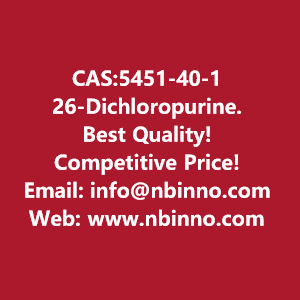 26-dichloropurine-manufacturer-cas5451-40-1-big-0