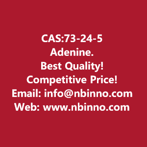 adenine-manufacturer-cas73-24-5-big-0